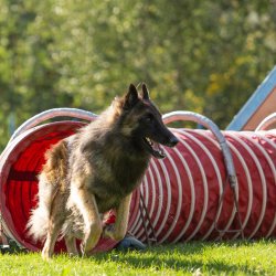 Index 1400px 20200919 IMG 9972