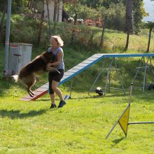 Index 1400px 20200919 IMG 9978