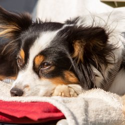 Index 1400px 20200919 IMG 9988