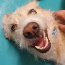 WhatsApp Image 2020 11 27 at 14.29.52