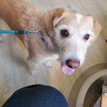 WhatsApp Image 2020 11 27 at 14.29.53