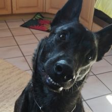 WhatsApp Image 2020 11 27 at 14.33.27