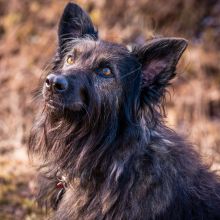 WhatsApp Image 2020 11 27 at 14.33.57