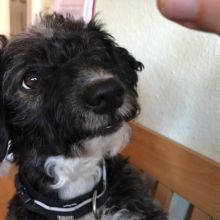 WhatsApp Image 2020 11 27 at 14.35.07