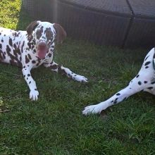 WhatsApp Image 2020 11 27 at 14.45.18