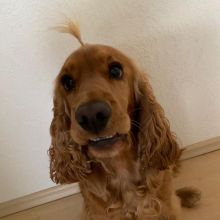 WhatsApp Image 2020 11 27 at 14.51.10