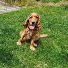 WhatsApp Image 2020 11 27 at 14.51.10  1 