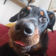 WhatsApp Image 2020 11 27 at 14.54.19