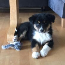 WhatsApp Image 2020 11 27 at 14.56.15