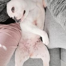 WhatsApp Image 2020 11 27 at 15.00.04