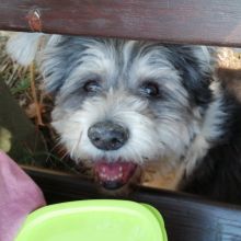 WhatsApp Image 2020 11 27 at 15.12.13