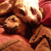 WhatsApp Image 2020 11 27 at 15.27.24