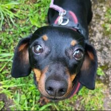 WhatsApp Image 2020 11 27 at 15.27.25