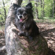 WhatsApp Image 2020 11 27 at 18.49.13