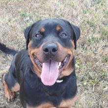 WhatsApp Image 2020 11 27 at 20.45.12