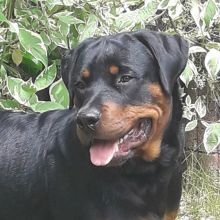 WhatsApp Image 2020 11 27 at 20.45.33