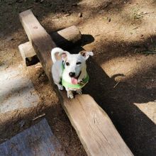 WhatsApp Image 2020 11 27 at 22.00.12