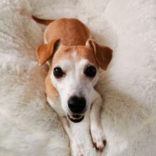 WhatsApp Image 2020 11 27 at 22.00.12  1 