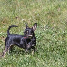 20210424 IMG 9160 1400