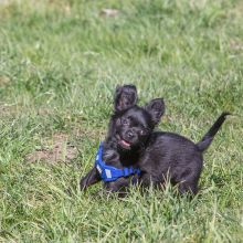 20210424 IMG 9161 1400