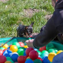 20210424 IMG 9205 1400