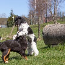 20210424 IMG 9217 1400