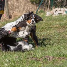 20210424 IMG 9220 1400