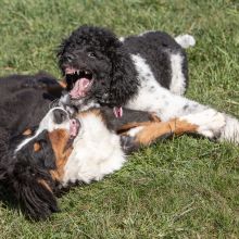 20210424 IMG 9278 1400