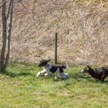 20210424 IMG 9298 1400