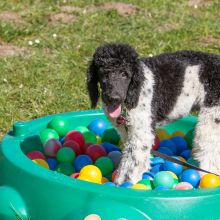 20210424 IMG 9321 1400