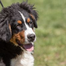 20210424 IMG 9328 1400