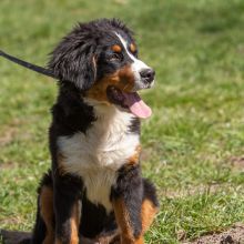 20210424 IMG 9334 1400