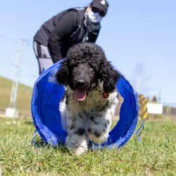 20210424 IMG 9338 1400