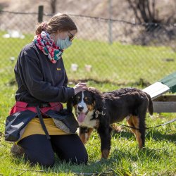 20210424 IMG 9345 1400