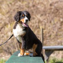 20210424 IMG 9357 1400