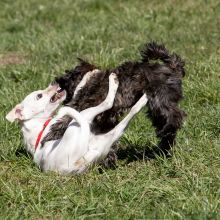 20210424 IMG 9403 1400