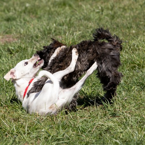 20210424 IMG 9403 1400