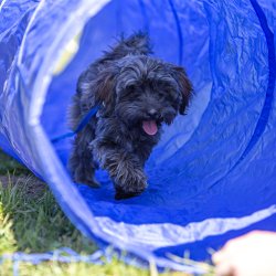 20210424 IMG 9440 1400