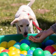 20210424 IMG 9464 1400