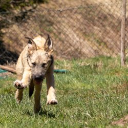 20210424 IMG 9501 1400