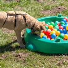 20210424 IMG 9508 1400