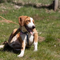 20210424 IMG 9594 1400