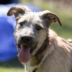 20210424 IMG 9611 1400