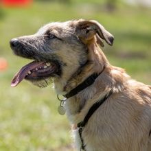 20210424 IMG 9621 1400