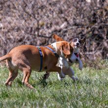 20210424 IMG 9646 1400