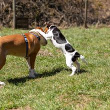 20210424 IMG 9661 1400