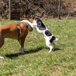 20210424 IMG 9661 1400