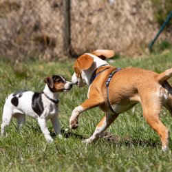 20210424 IMG 9668 1400