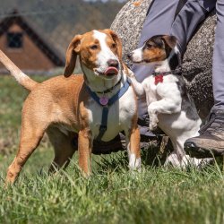 20210424 IMG 9677 1400