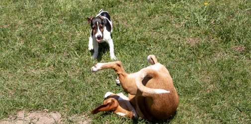 20210424 IMG 9682 1400